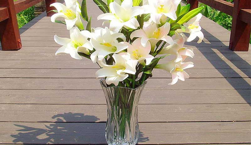 Vase for Tulips