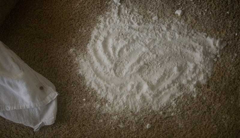 How to Clean Urine from Carpet with Baking Soda